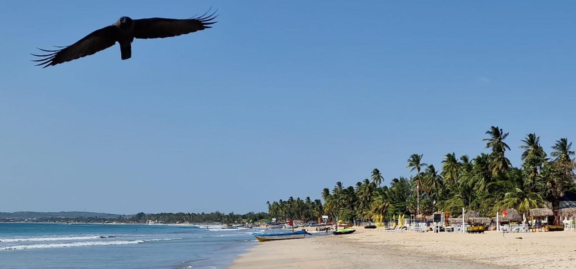 Lucky Beach Resort Triquinimale Exterior foto